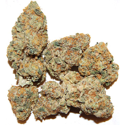 CROTCH ROCKET (Balanced Hybrid - Organic)