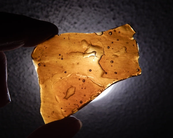 SHATTER - White Rhino (Indica)