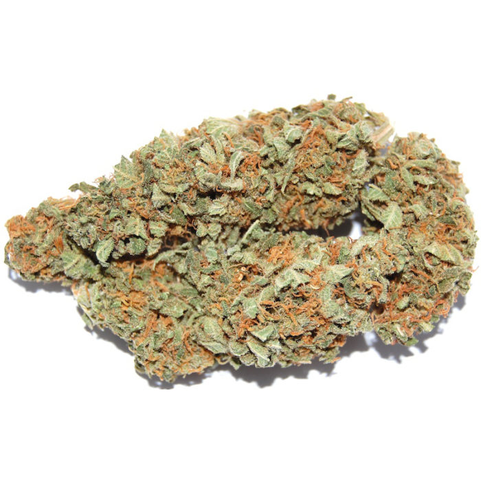 ** The Doctor (Indica - Organic)